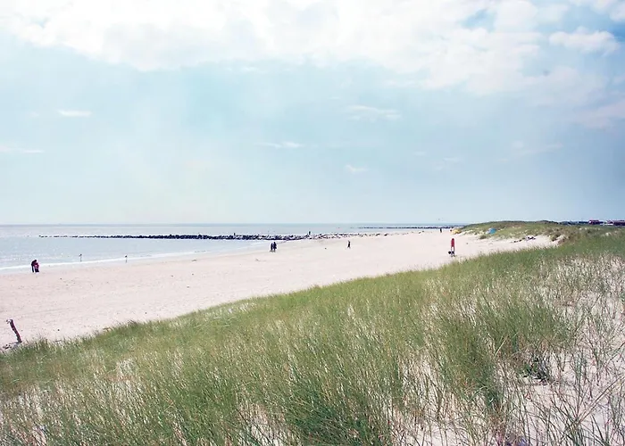 Pet Friendly In Henne With Sauna *